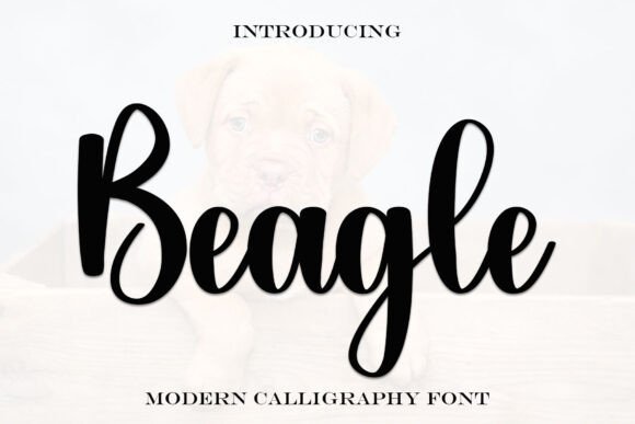 Beagle Font - Featured Image