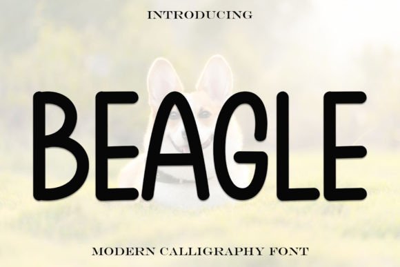 Beagle Font - Featured Image