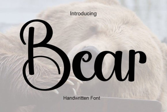 Bear Font - Featured Image