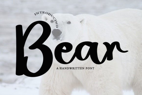 Bear Font - Featured Image
