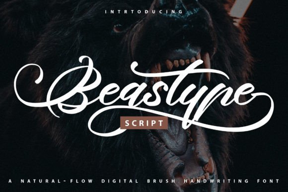 Beastype Font - Featured Image