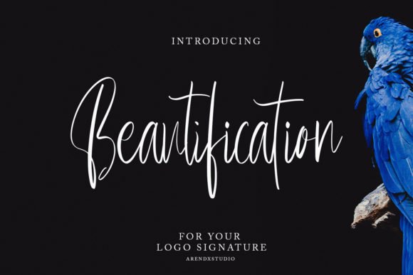 Beautification Font - Featured Image