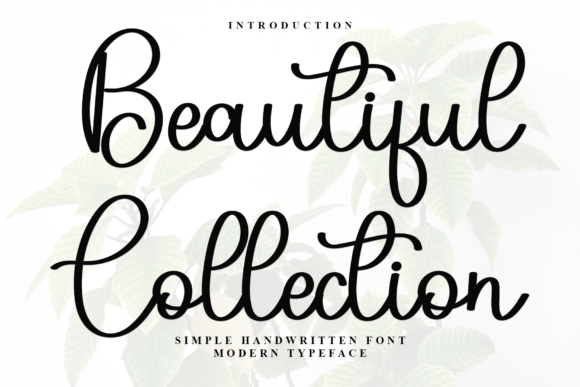 Beautiful Collection Font - Featured Image