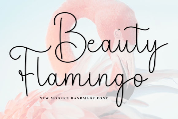 Beauty Flamingo Font - Featured Image