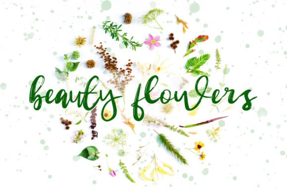 Beauty Flowers Font - Featured Image