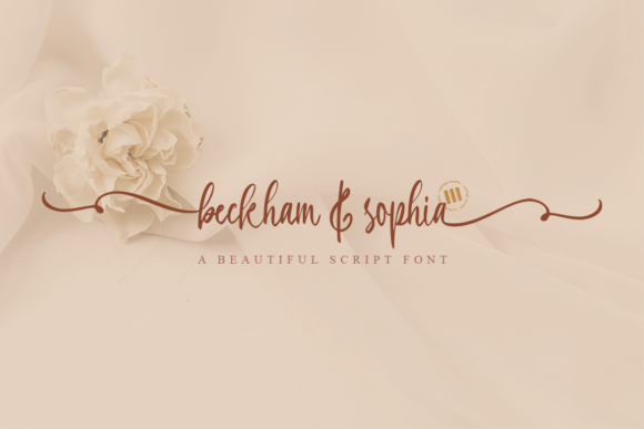 Beckham & Sophia Font - Featured Image