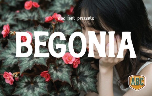 Begonia Font - Featured Image