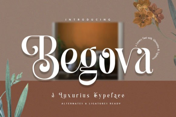 Begova Font - Featured Image