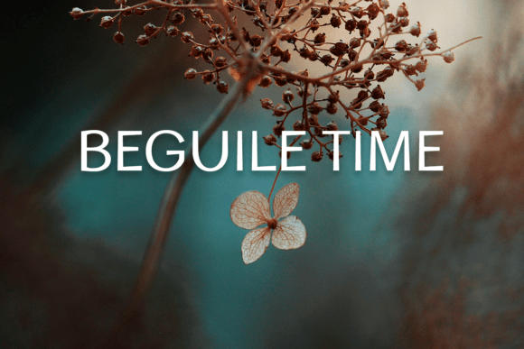 Beguile Time Font - Featured Image