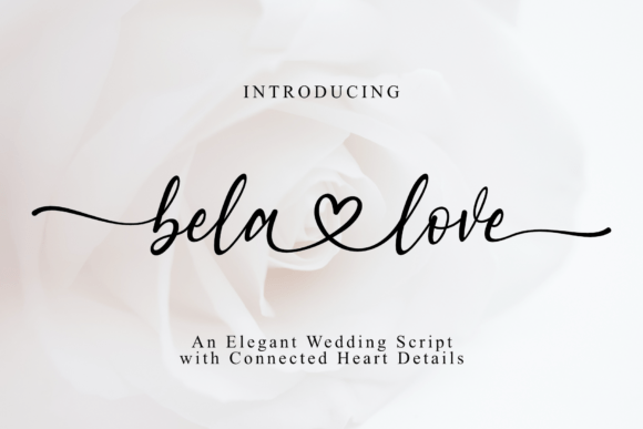 Bela Love Font - Featured Image