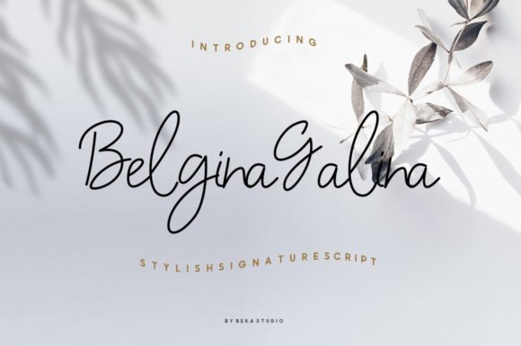 Belgina Galina Font - Featured Image