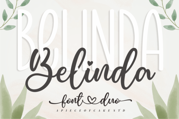 Belinda Font - Featured Image