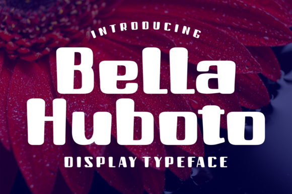 Bella Huboto Font - Featured Image