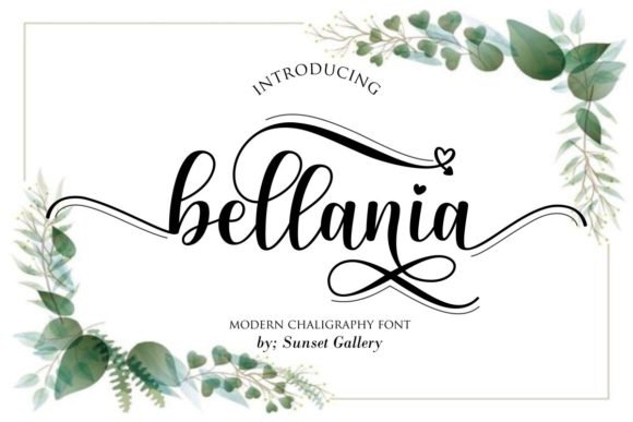 Bellania Font - Featured Image