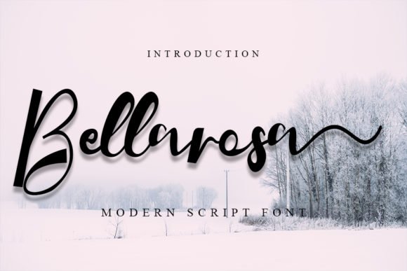 Bellarosa Font - Featured Image