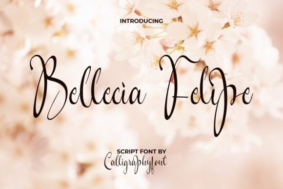 Bellecia Felipe Font - Featured Image