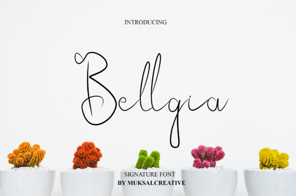 Bellgia Font - Featured Image