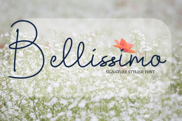 Bellissimo Font - Featured Image