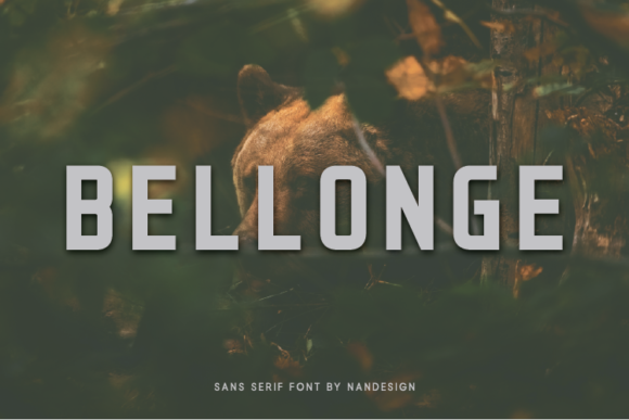 Bellonge Font - Featured Image