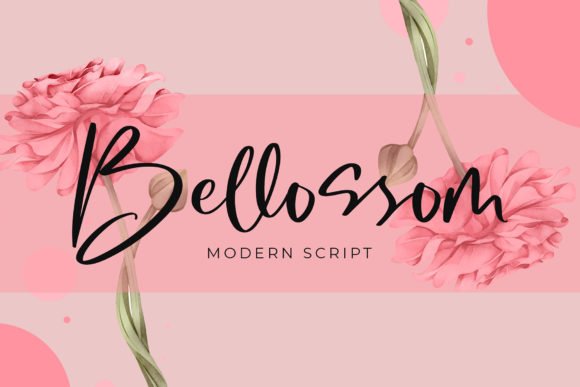 Bellossom Font - Featured Image