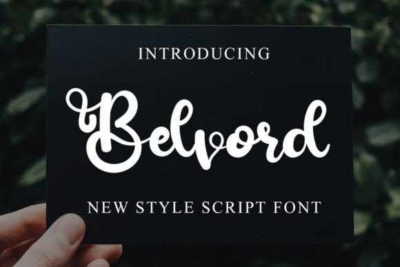 Belvord Font - Featured Image