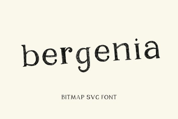 Bergenia Font - Featured Image