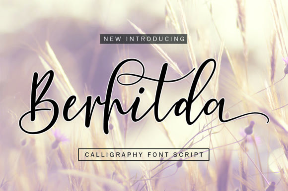 Berhilda Font - Featured Image