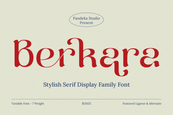 Berkara Font - Featured Image