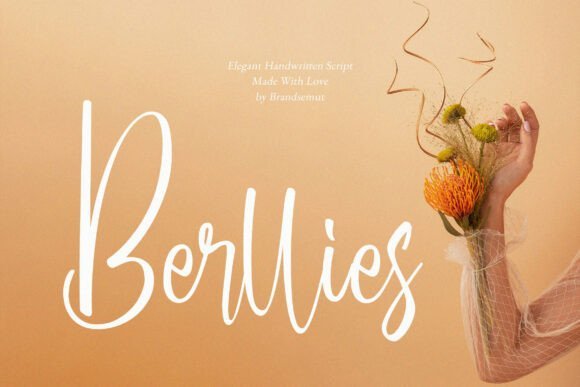 Berllies Font - Featured Image