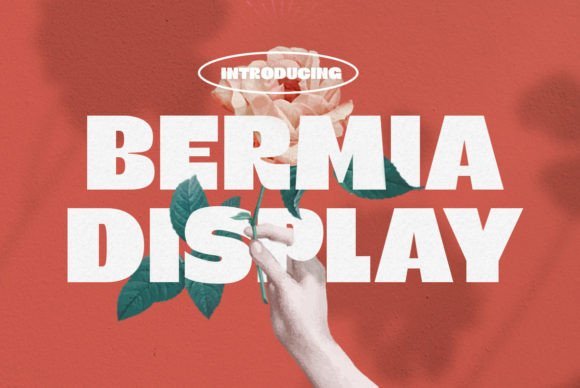 Bermia Font - Featured Image