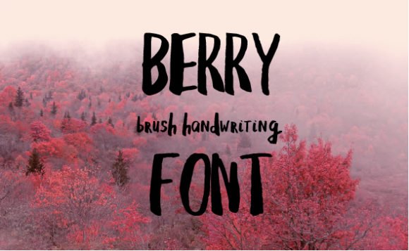 Berry Font - Featured Image
