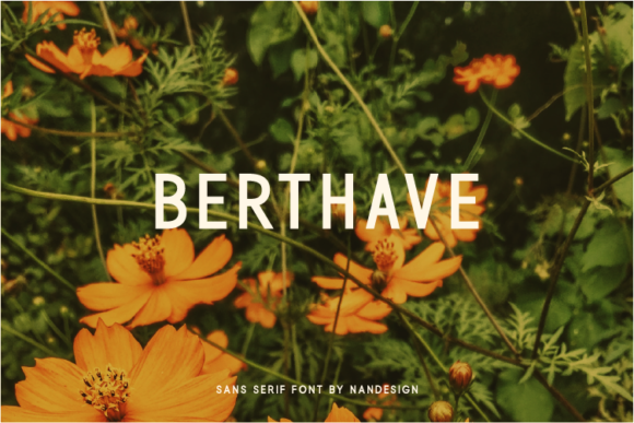 Berthave Font - Featured Image
