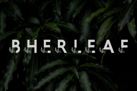 Bherleaf Font - Featured Image