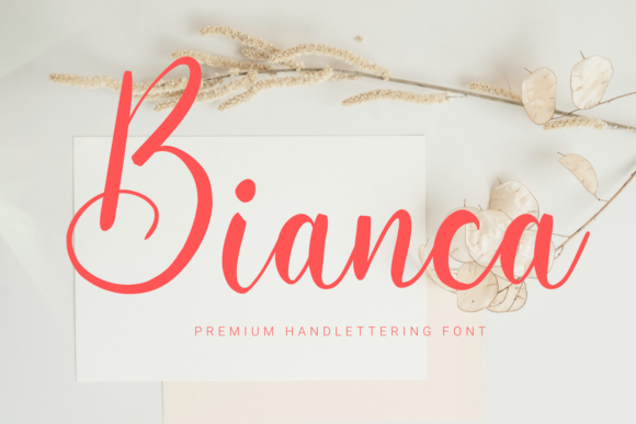 Bianca Font - Featured Image