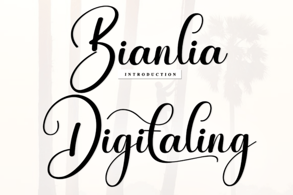 Bianlia Digitaling Font - Featured Image