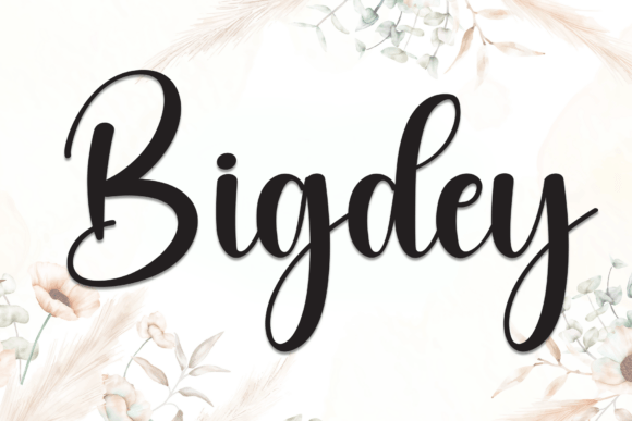 Bigdey Font - Featured Image