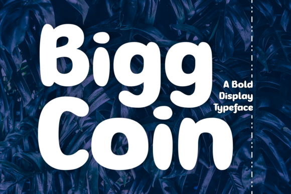 Bigg Coin Font - Featured Image