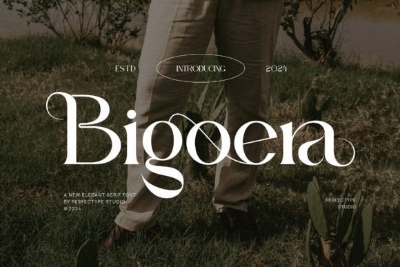 Bigoera Font - Featured Image