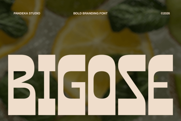 Bigose Font - Featured Image