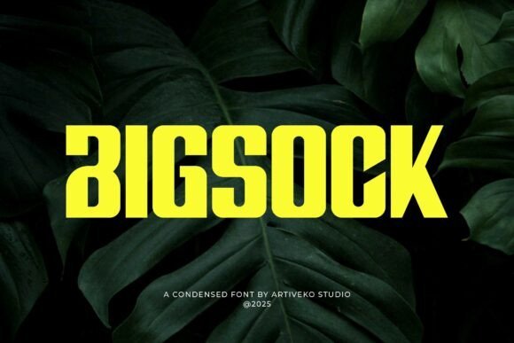 Bigsock Font - Featured Image