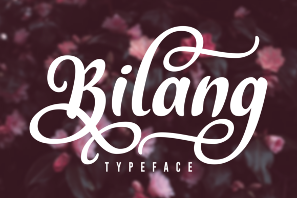 Bilang Font - Featured Image