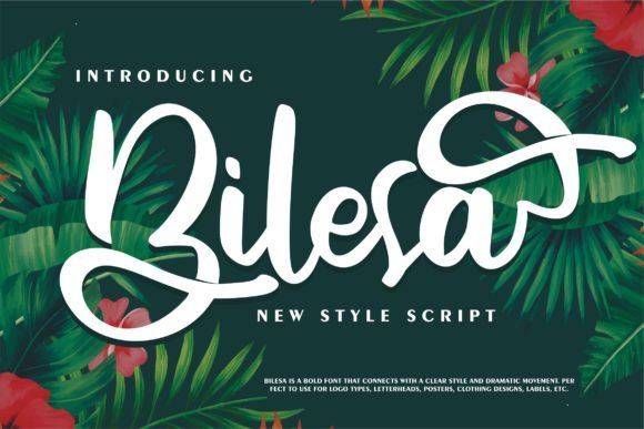 Bilesa Font - Featured Image