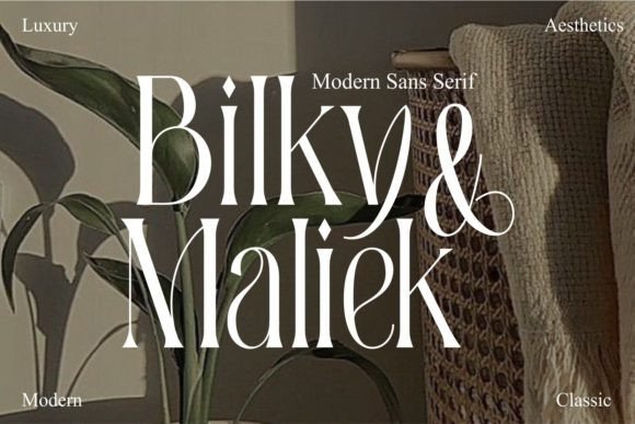 Bilky Maliek Font - Featured Image