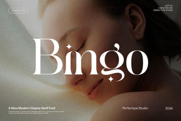 Bingo Font - Featured Image