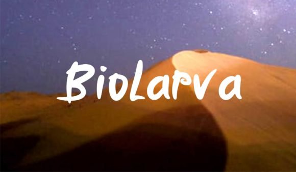 Biolarfa Font - Featured Image