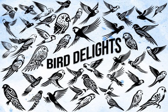 Bird Delights Font - Featured Image