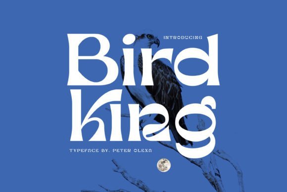 Bird King Font - Featured Image
