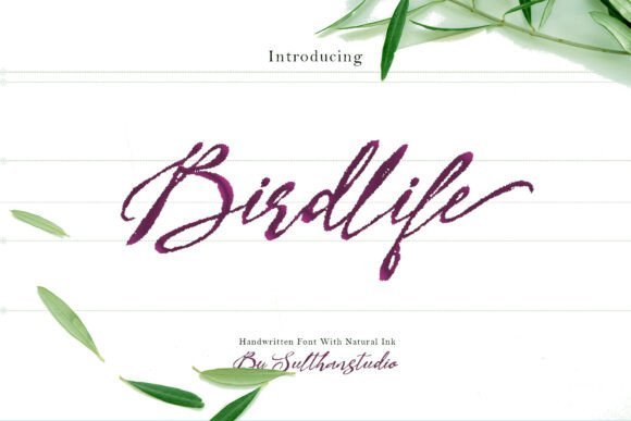 Bird Life Font - Featured Image