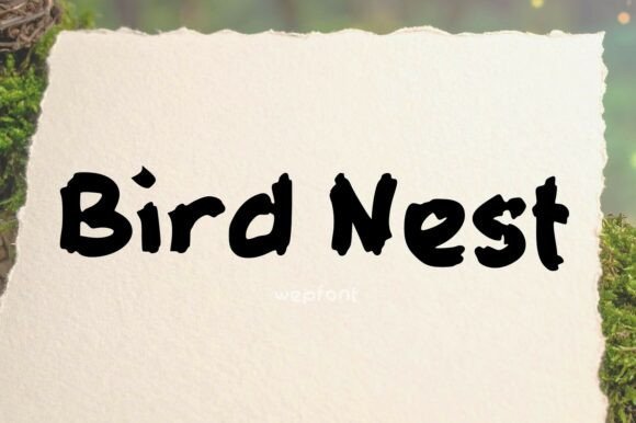 Bird Nest Font - Featured Image
