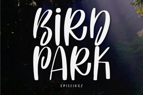 Bird Park Font - Featured Image